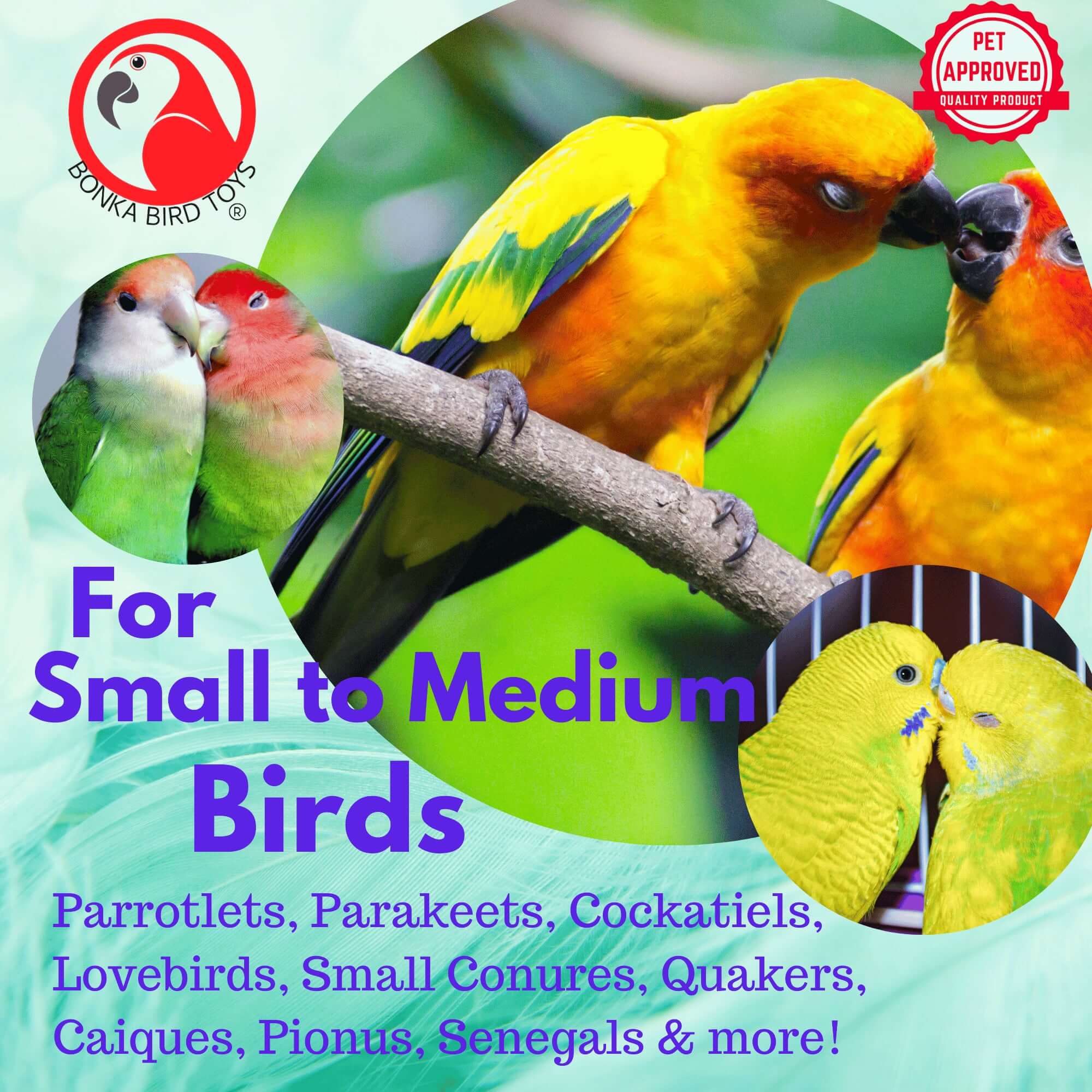 3308 pk6 Plastic Wheel Foot Talon Bird Toy