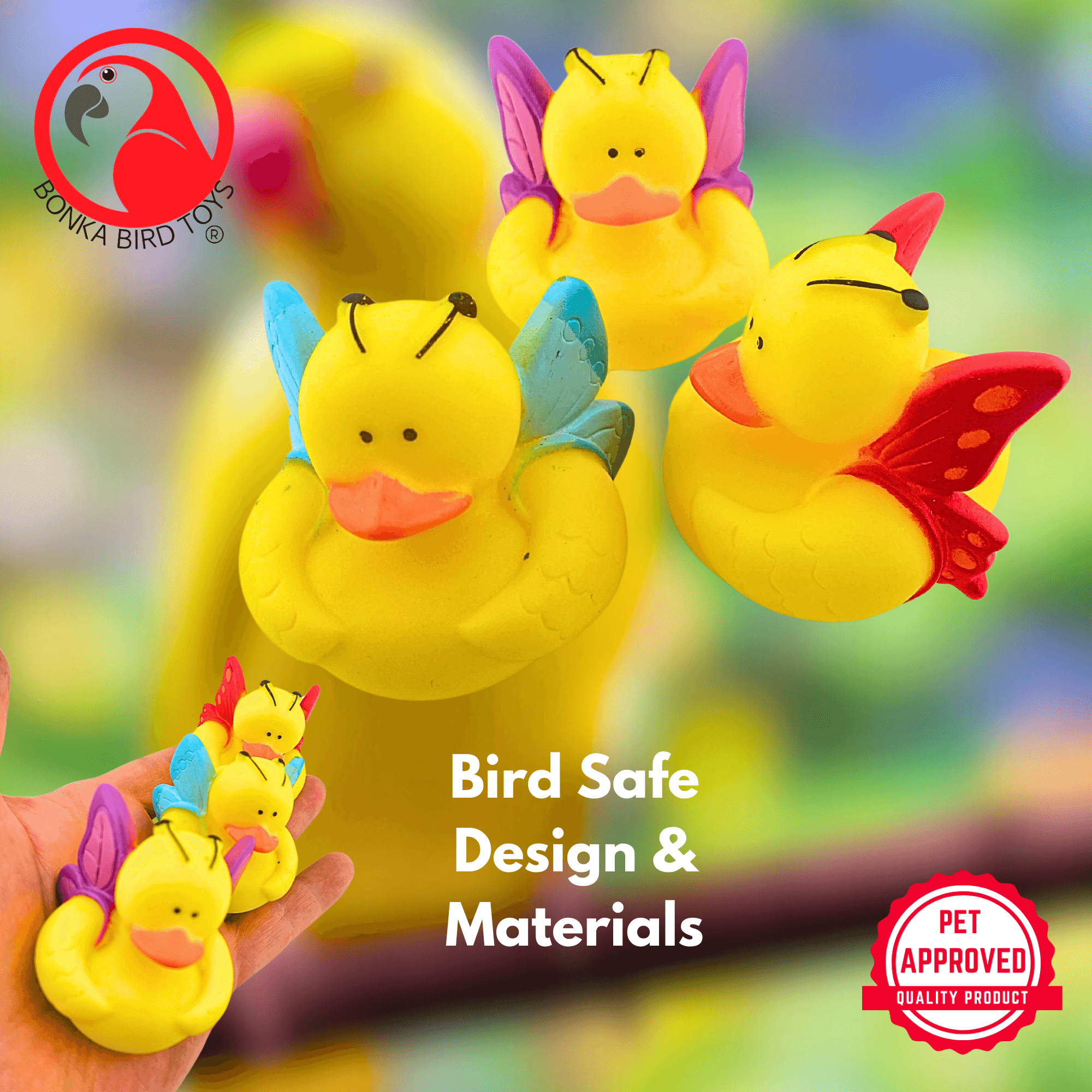 1440 Pk3 Butterfly Duck