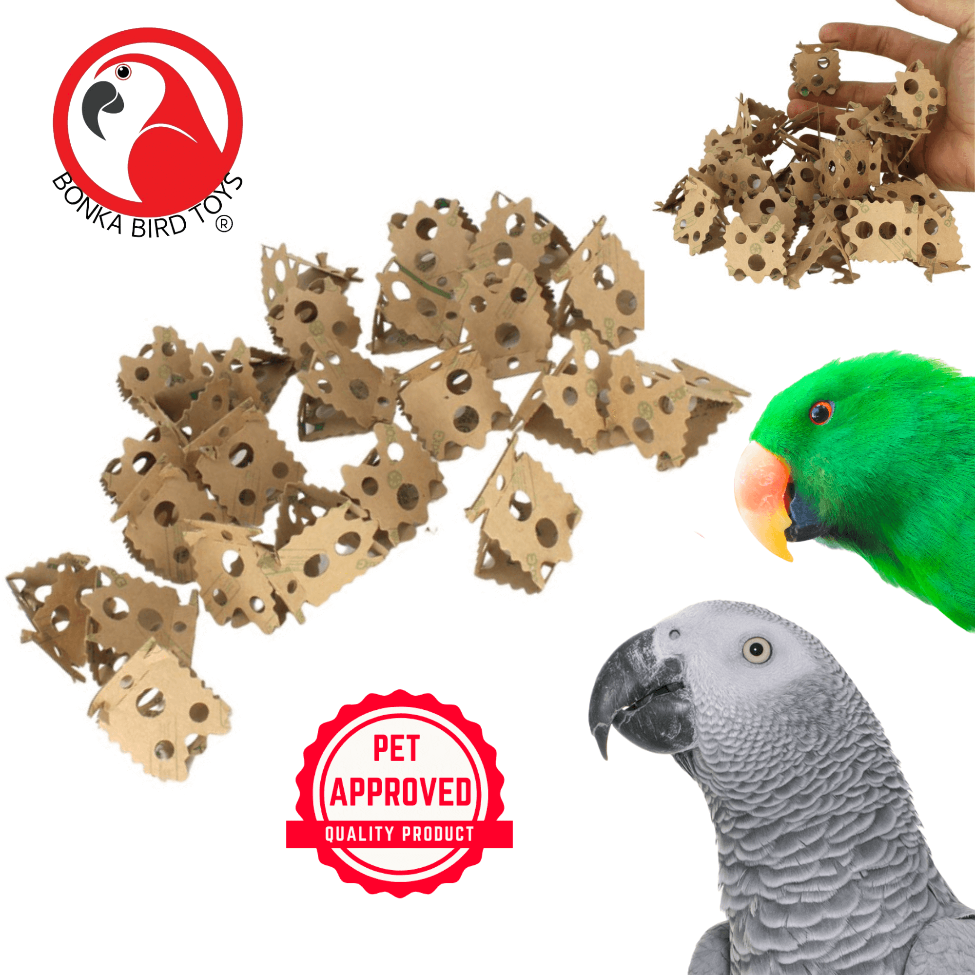 1222 24pk Foraging Card Crumbles