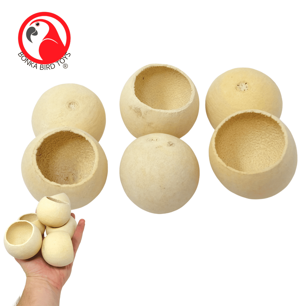 Pk6 Foraging Cups - Bonka Bird Toys