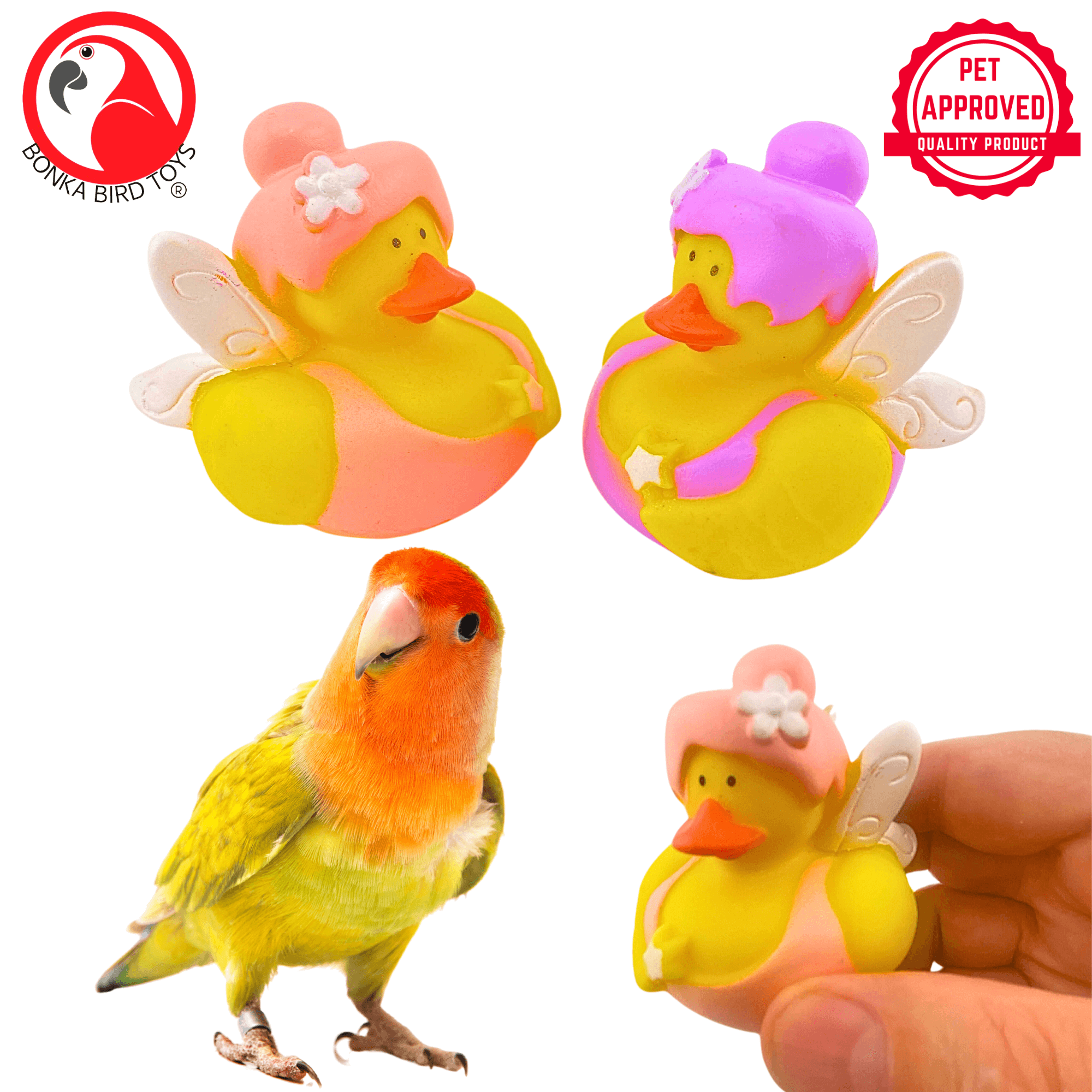 1441 Pk2 Fairy Duck