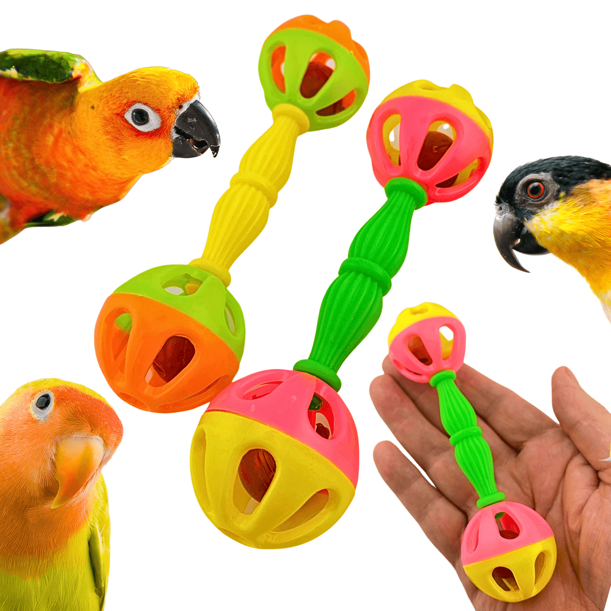 2069 Pk2 Birdie Barbells