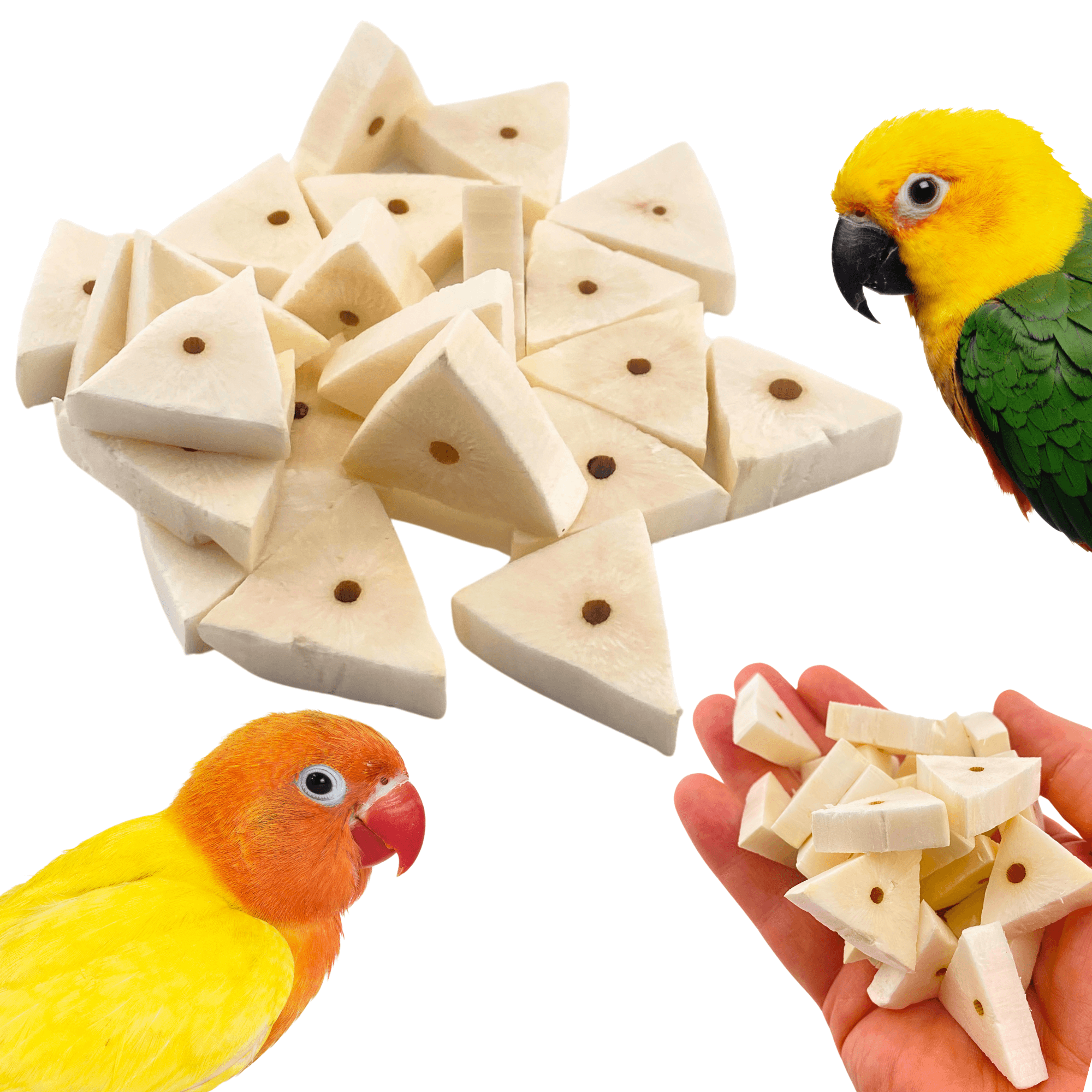 2739 Pk24 Triangle Sola Chips