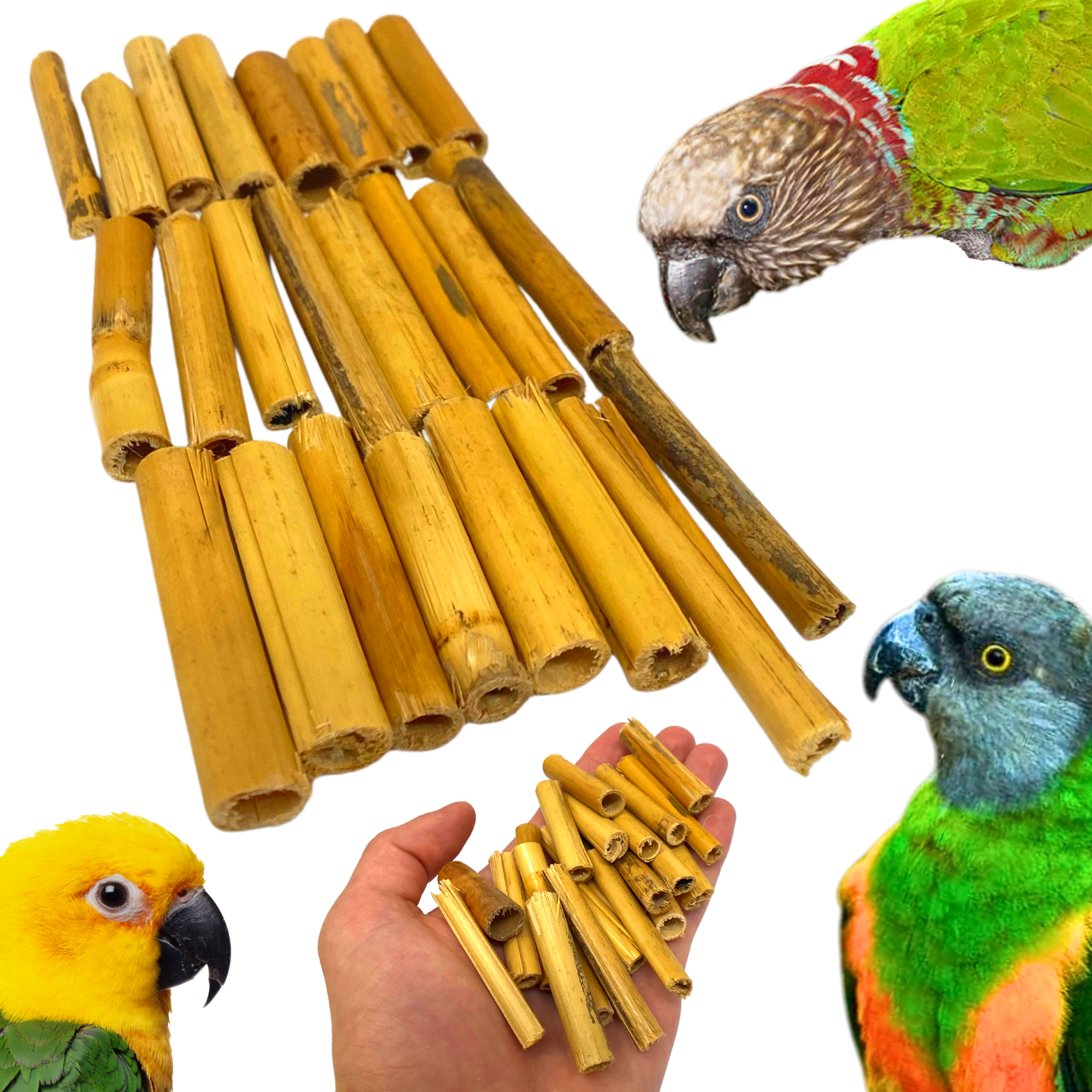 2941 Pk24 Bamboo Sticks