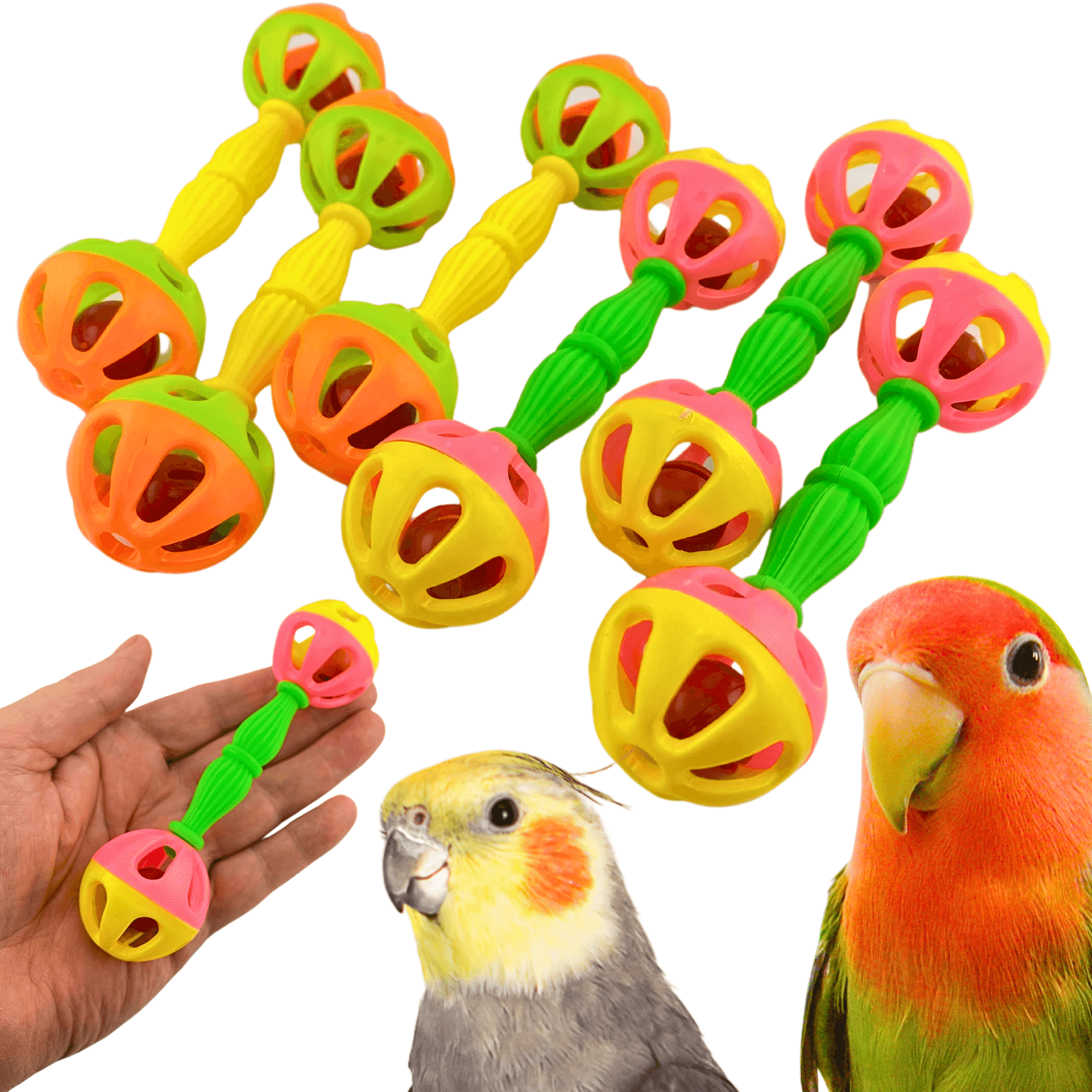 3161 Pk6 Birdie Barbell