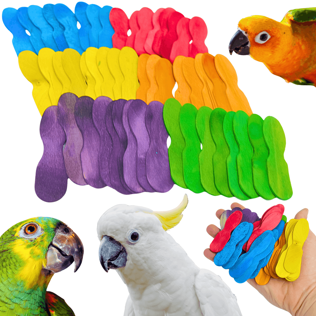 2665 PK50 Mini Scoop Spoons