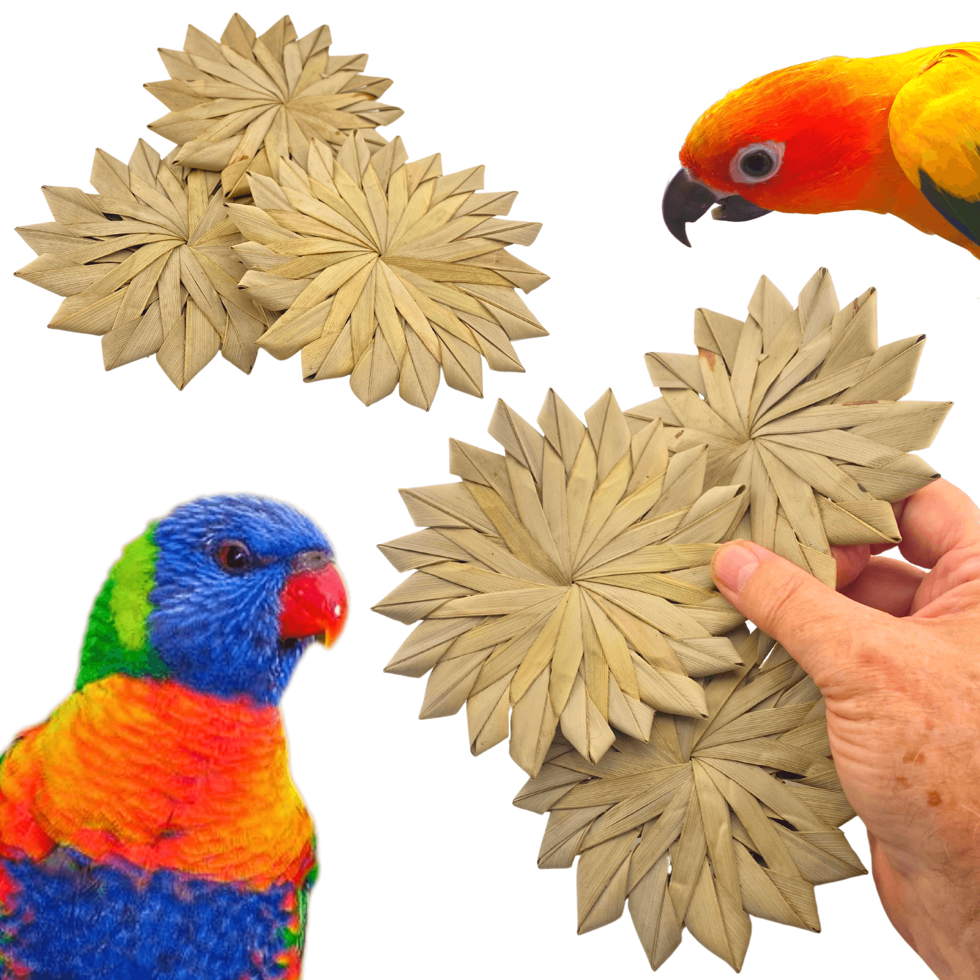 3347 Pk3 Large 4" Woven Palm Leaf Flowers