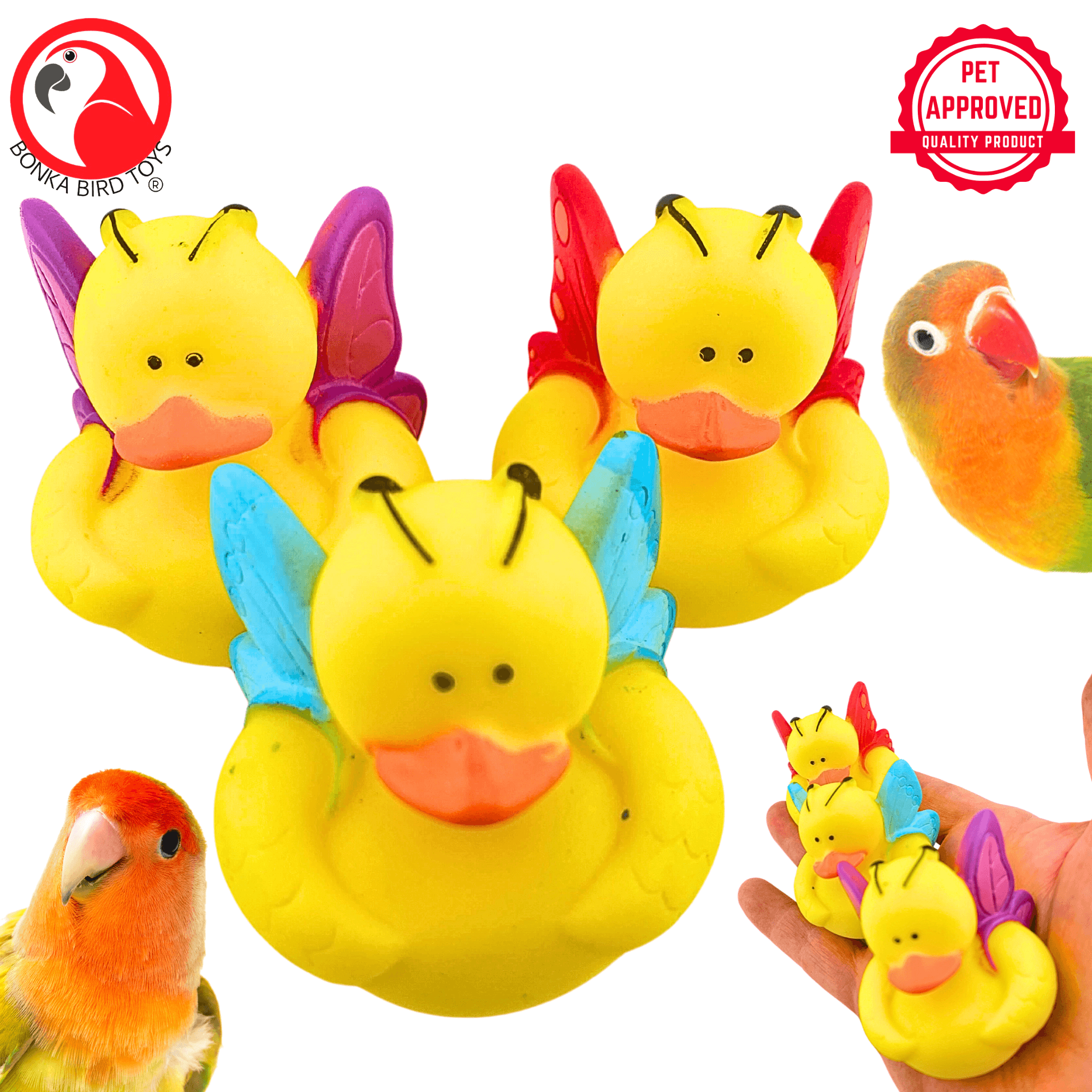1440 Pk3 Butterfly Duck