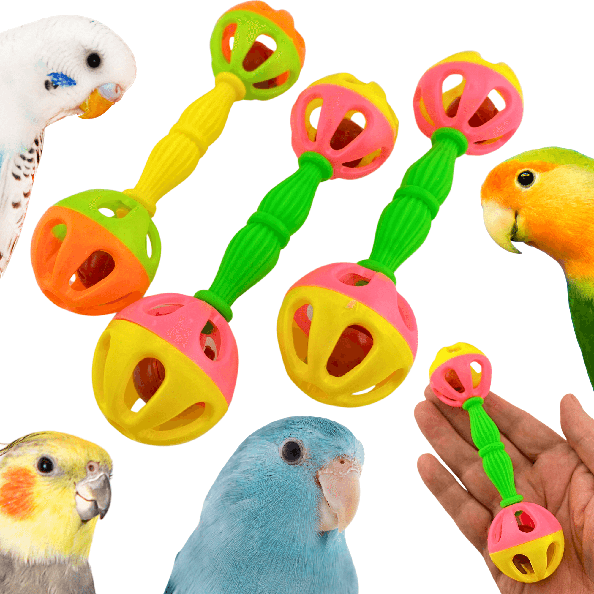 2093 Pk3 Birdie Barbell