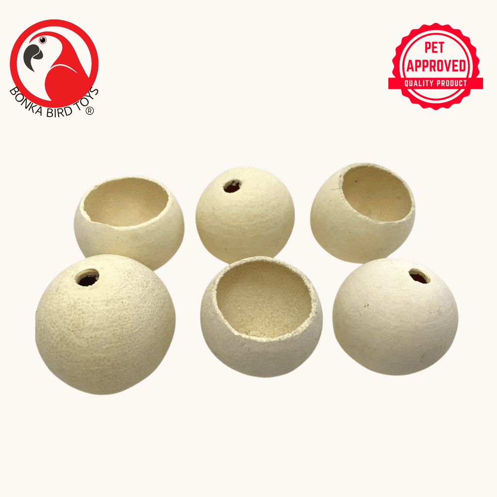 Pk6 Foraging Cups - Bonka Bird Toys