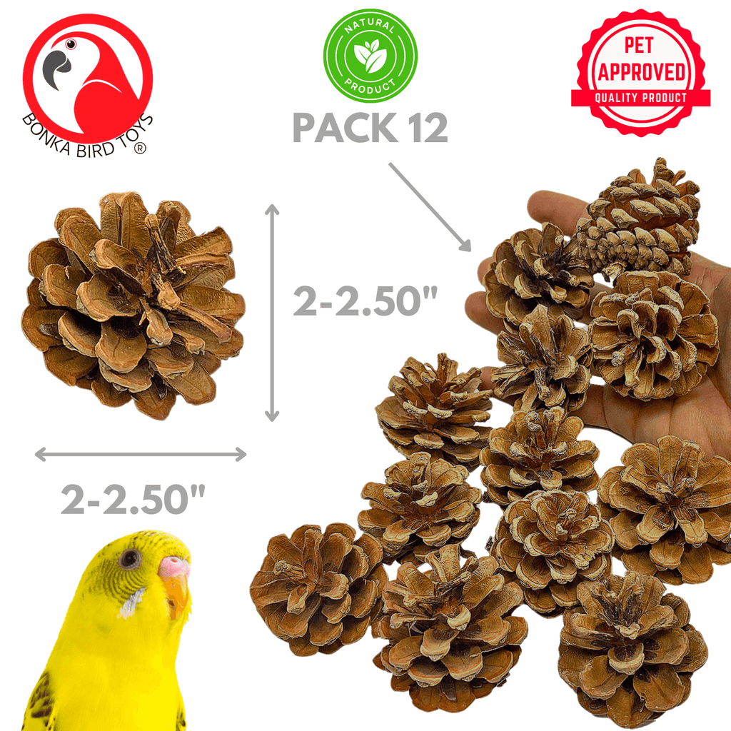 3284 Pk12 Natural Pinecones