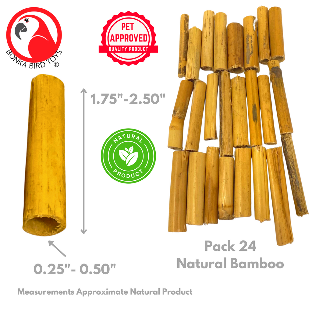 2941 Pk24 Bamboo Sticks