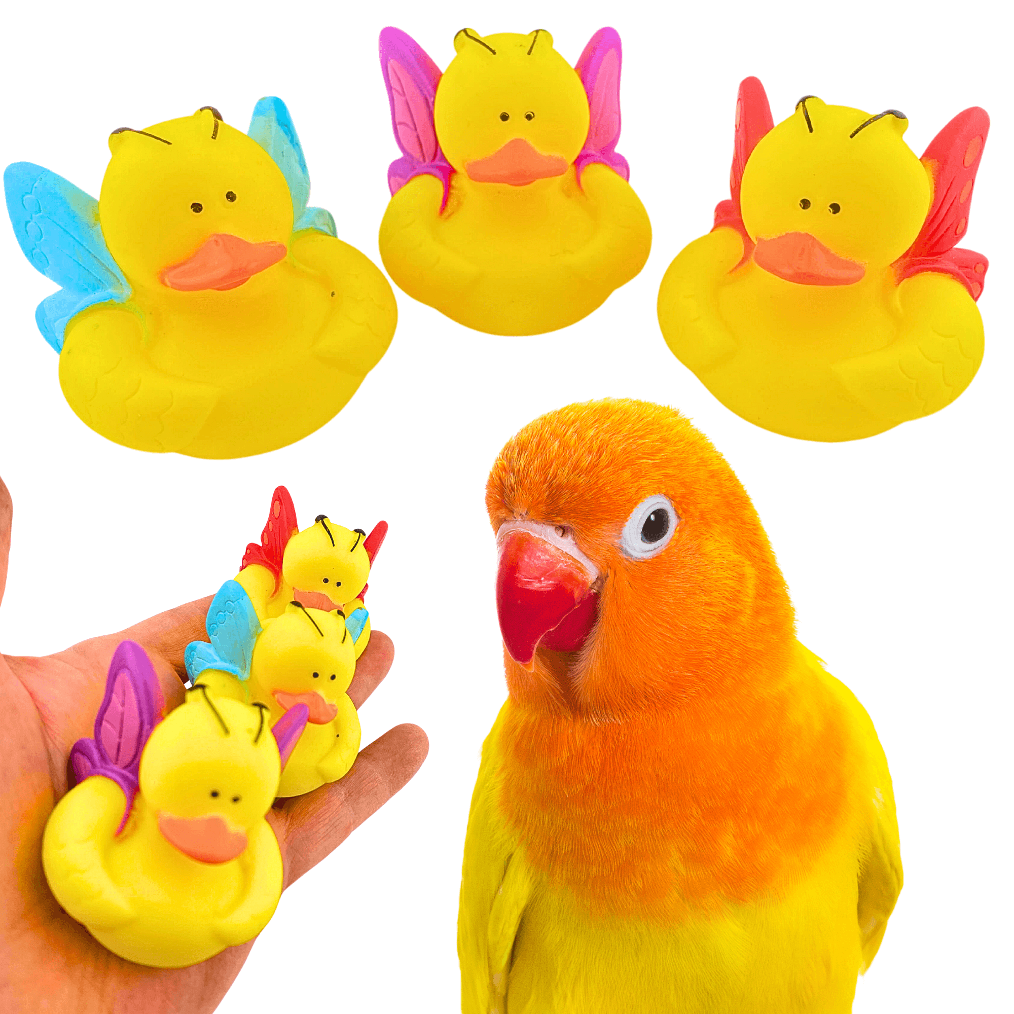 1440 Pk3 Butterfly Duck