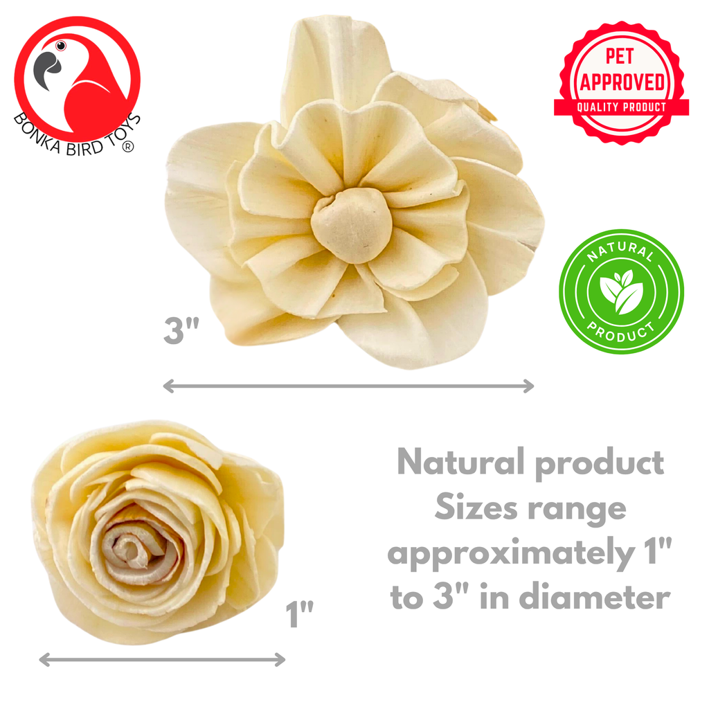 3604 Pk6 Assorted Sola Flowers