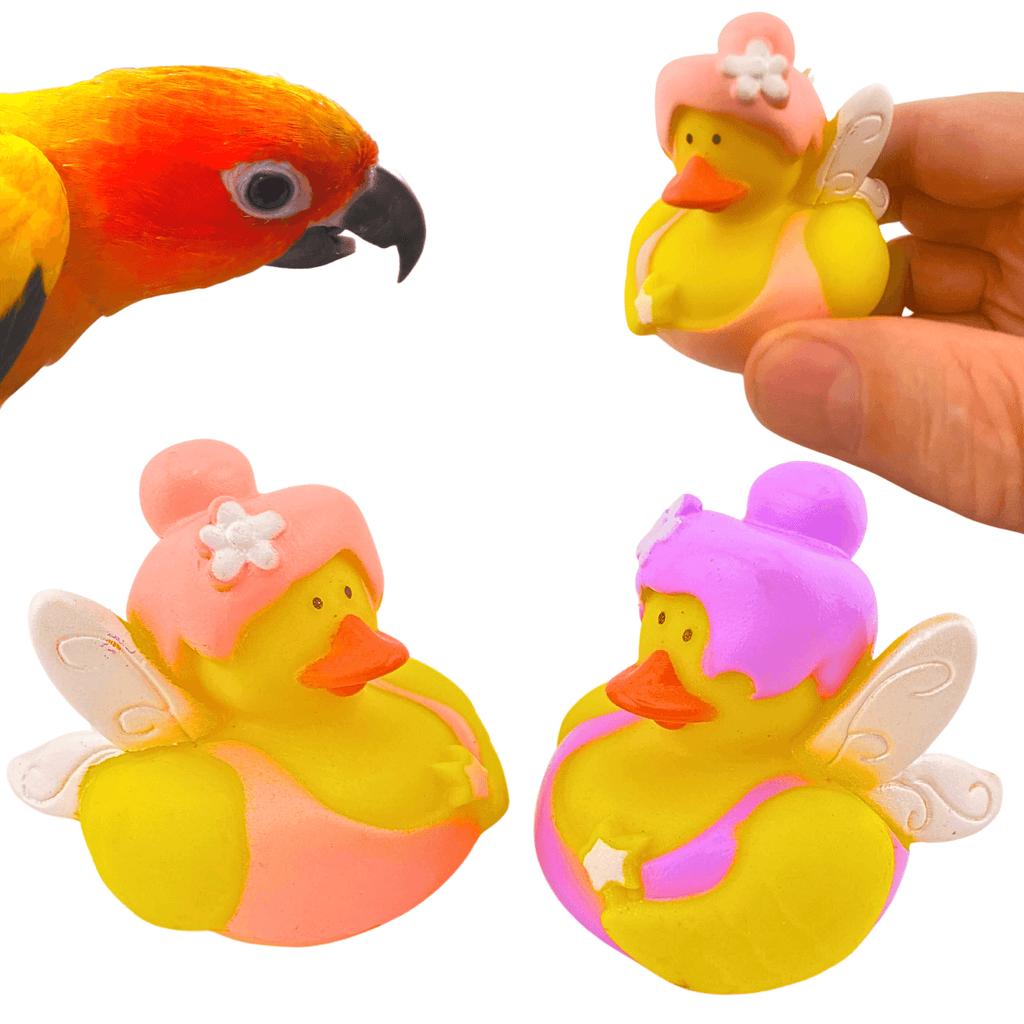 1441 Pk2 Fairy Duck
