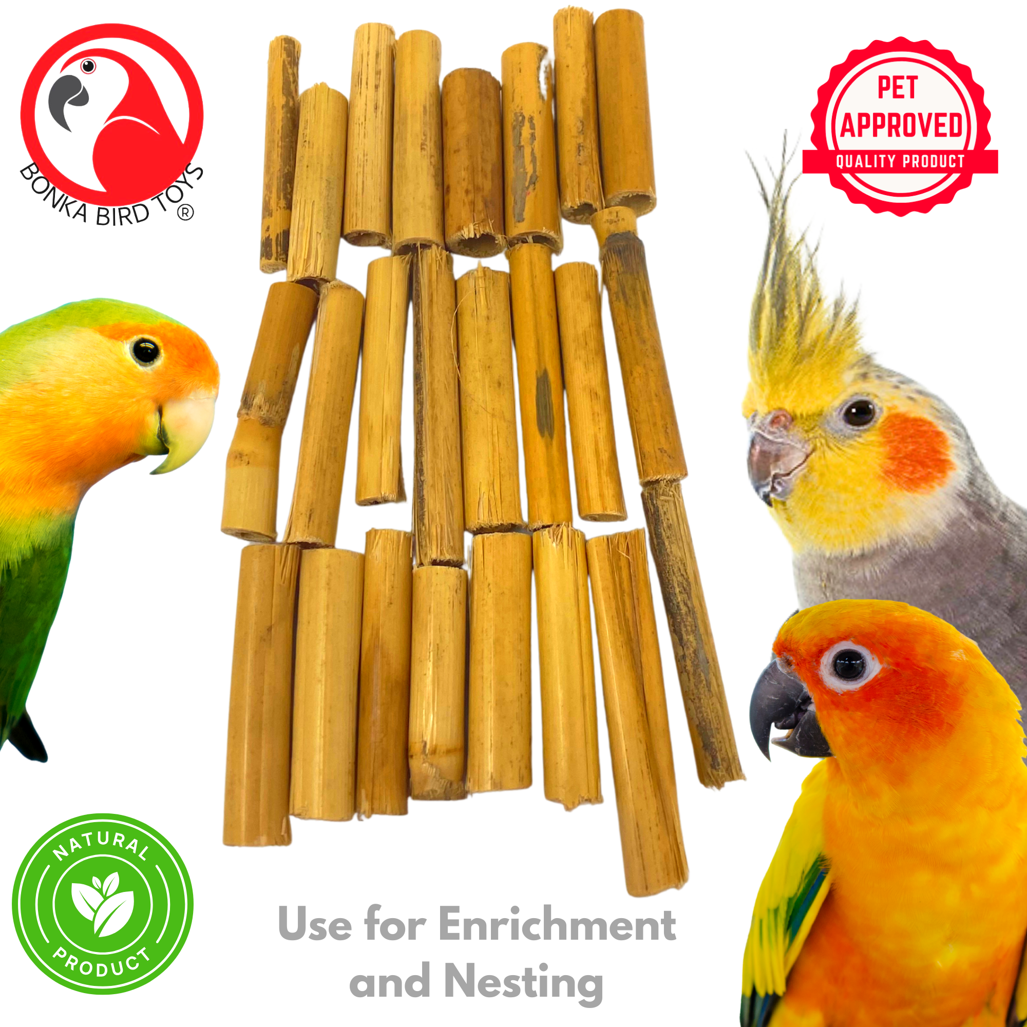 2941 Pk24 Bamboo Sticks