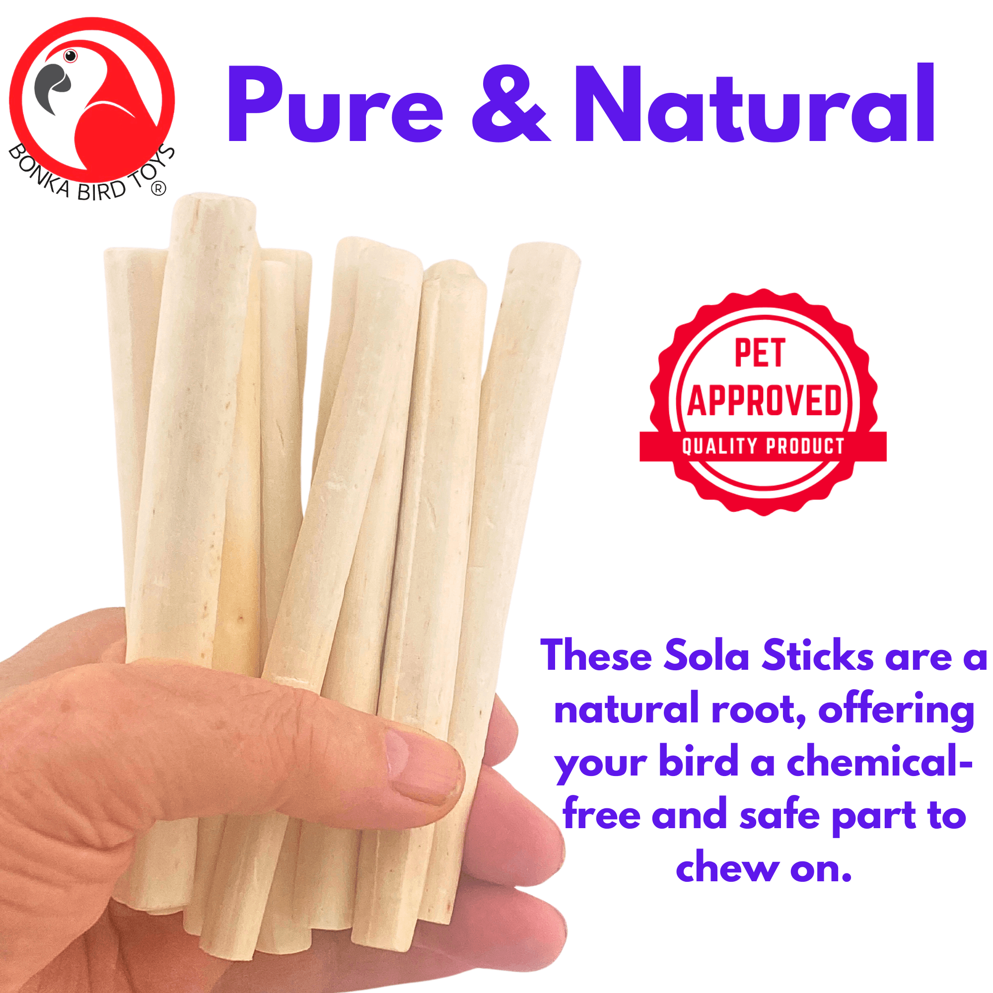 2637 Pk12 Thin Natural Sola Sticks