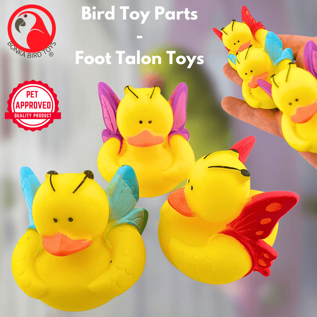 1440 Pk3 Butterfly Duck