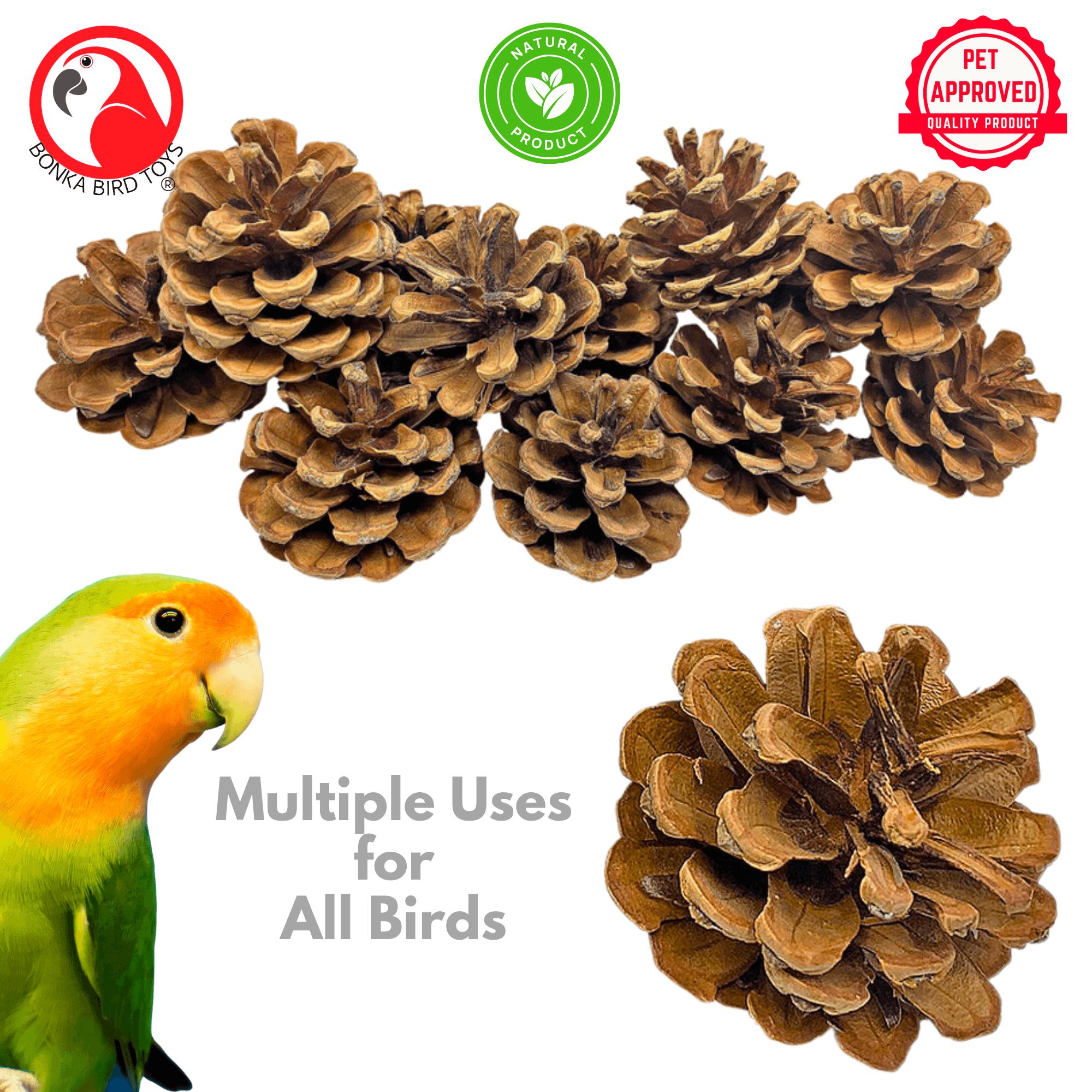 3284 Pk12 Natural Pinecones
