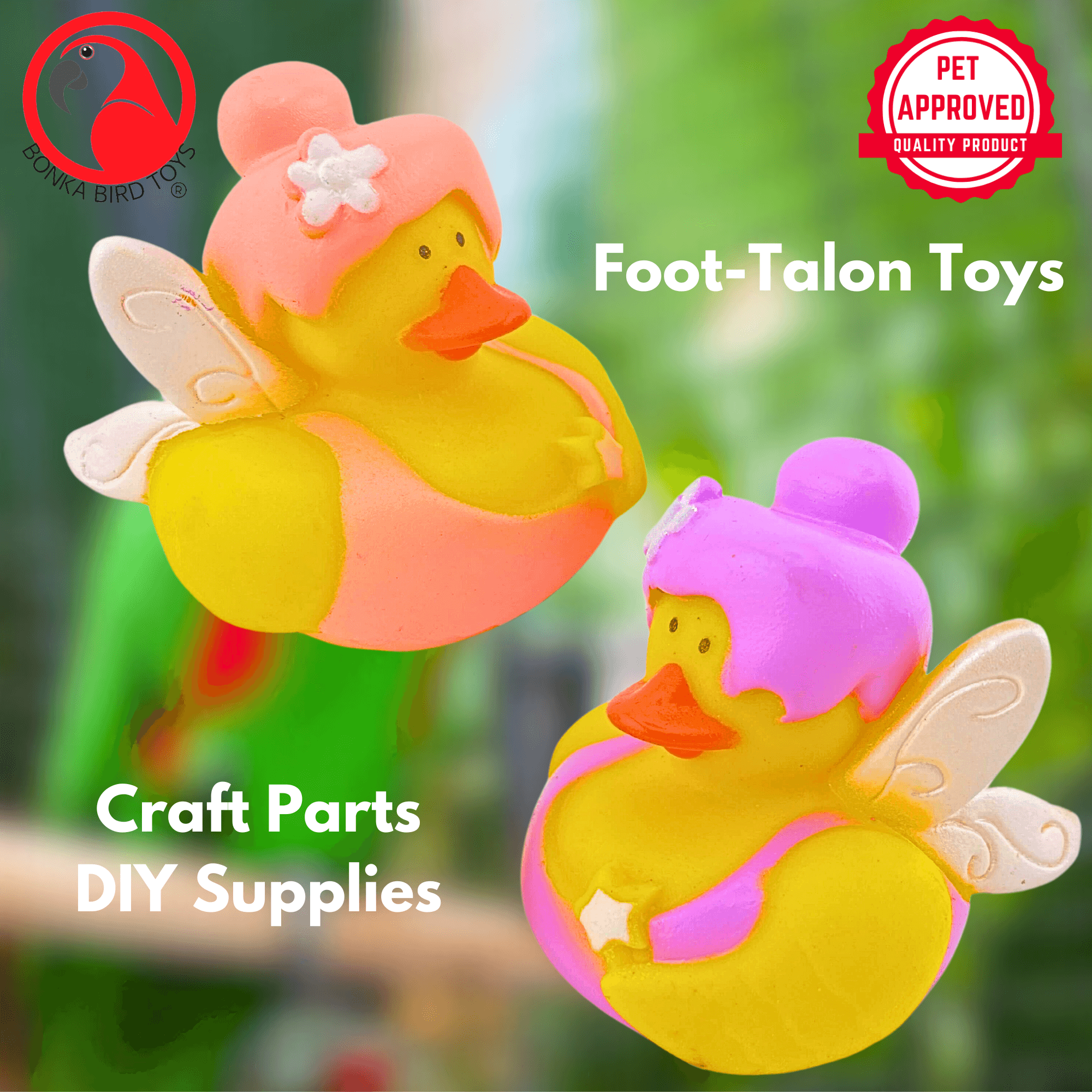 1441 Pk2 Fairy Duck