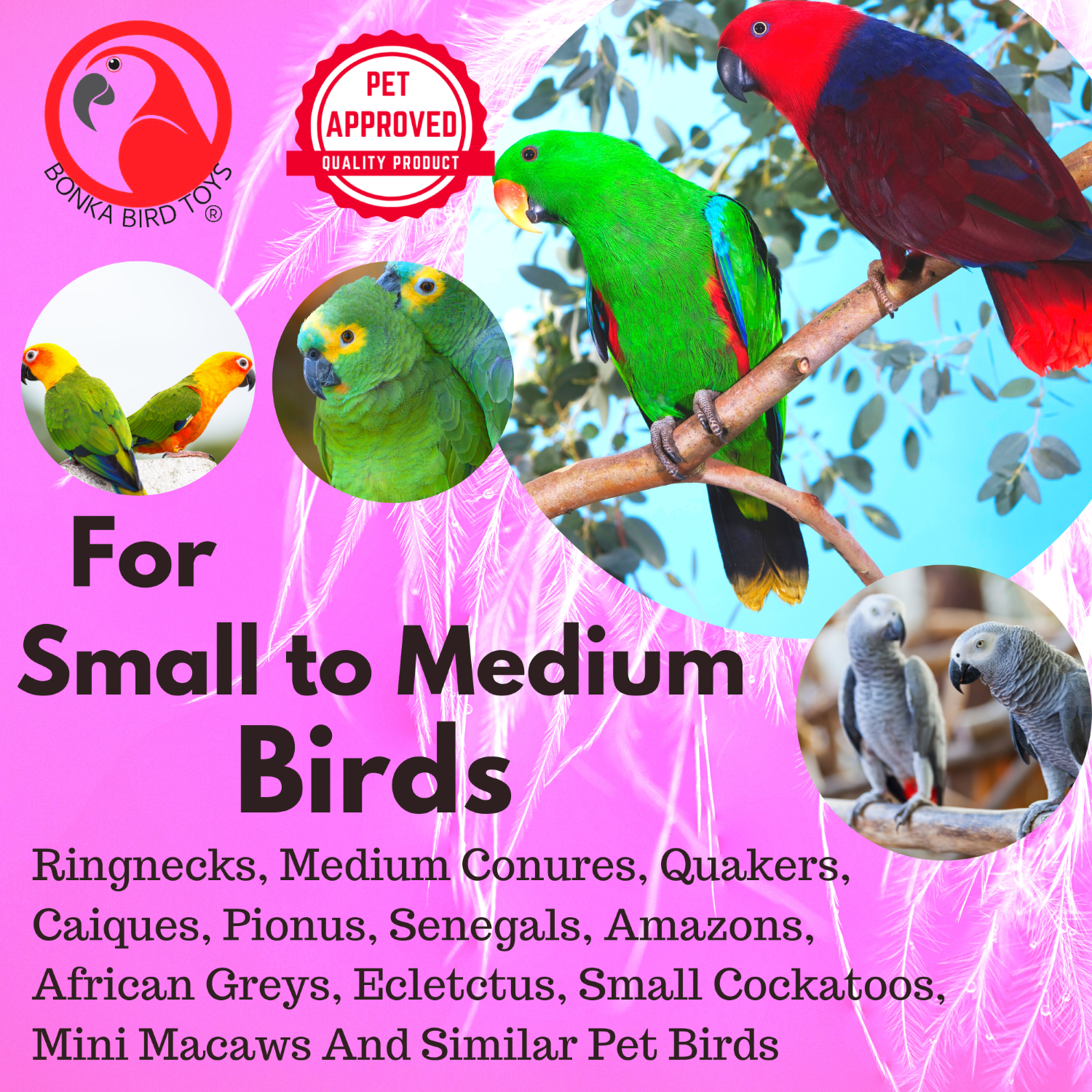 Lucky Mugs Foot Talon Craft Part Bird Toys