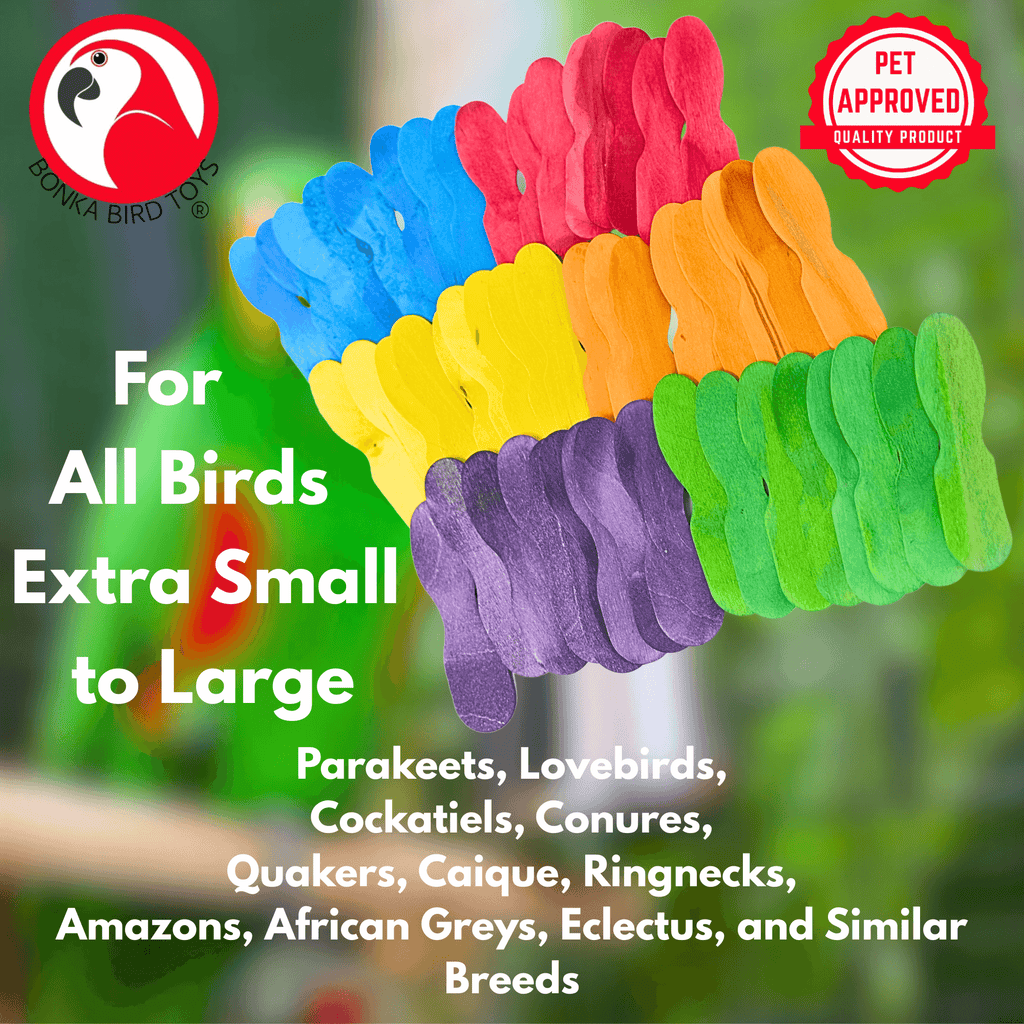 2665 PK50 Mini Scoop Spoons