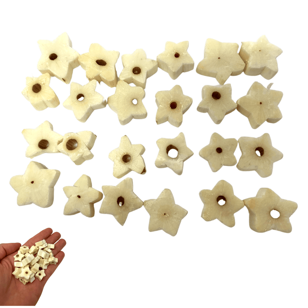 2910 Pk24 Tiny Sola Star Chips
