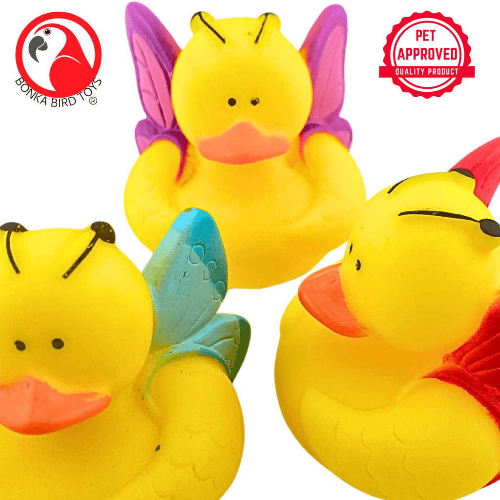 1440 Pk3 Butterfly Duck