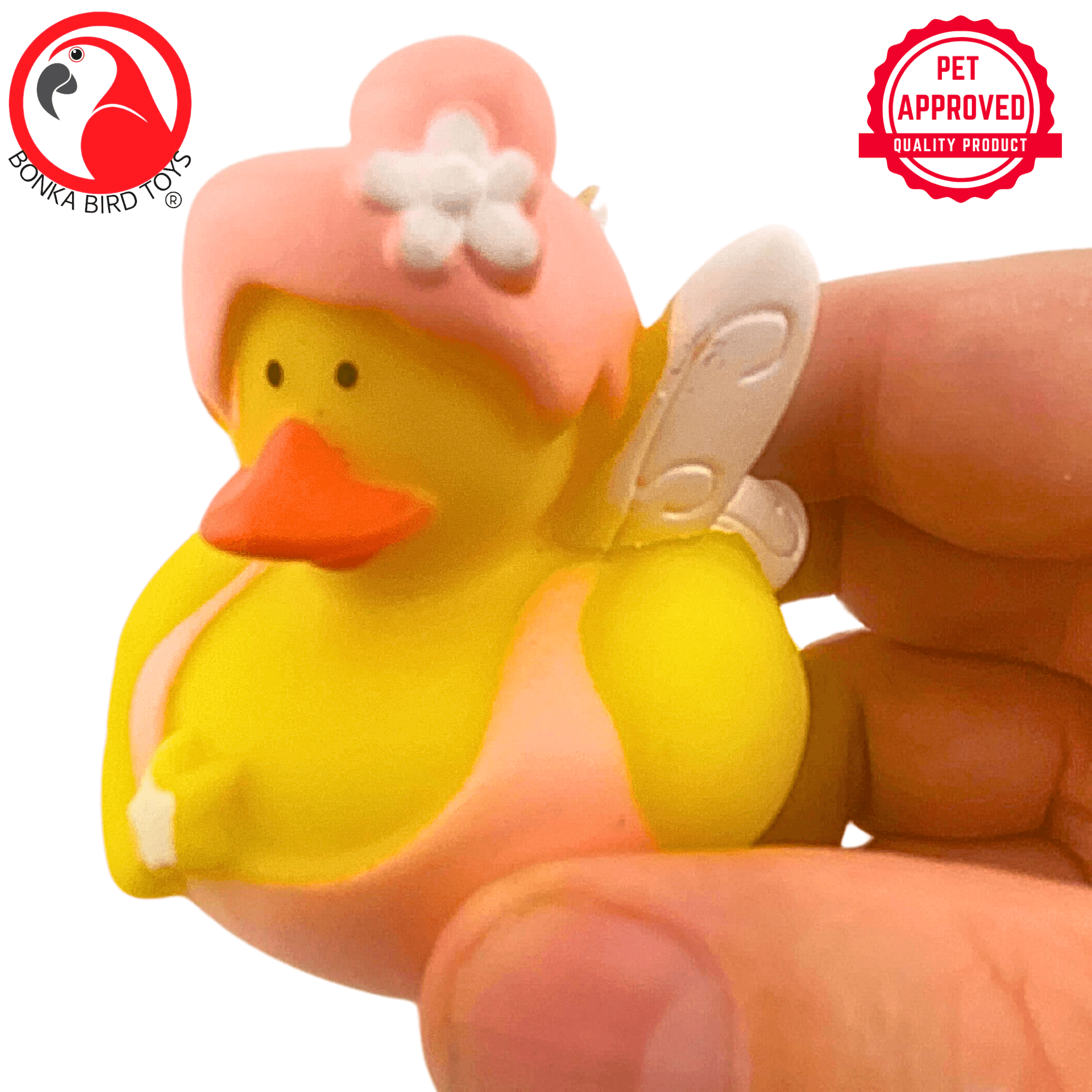 1441 Pk2 Fairy Duck