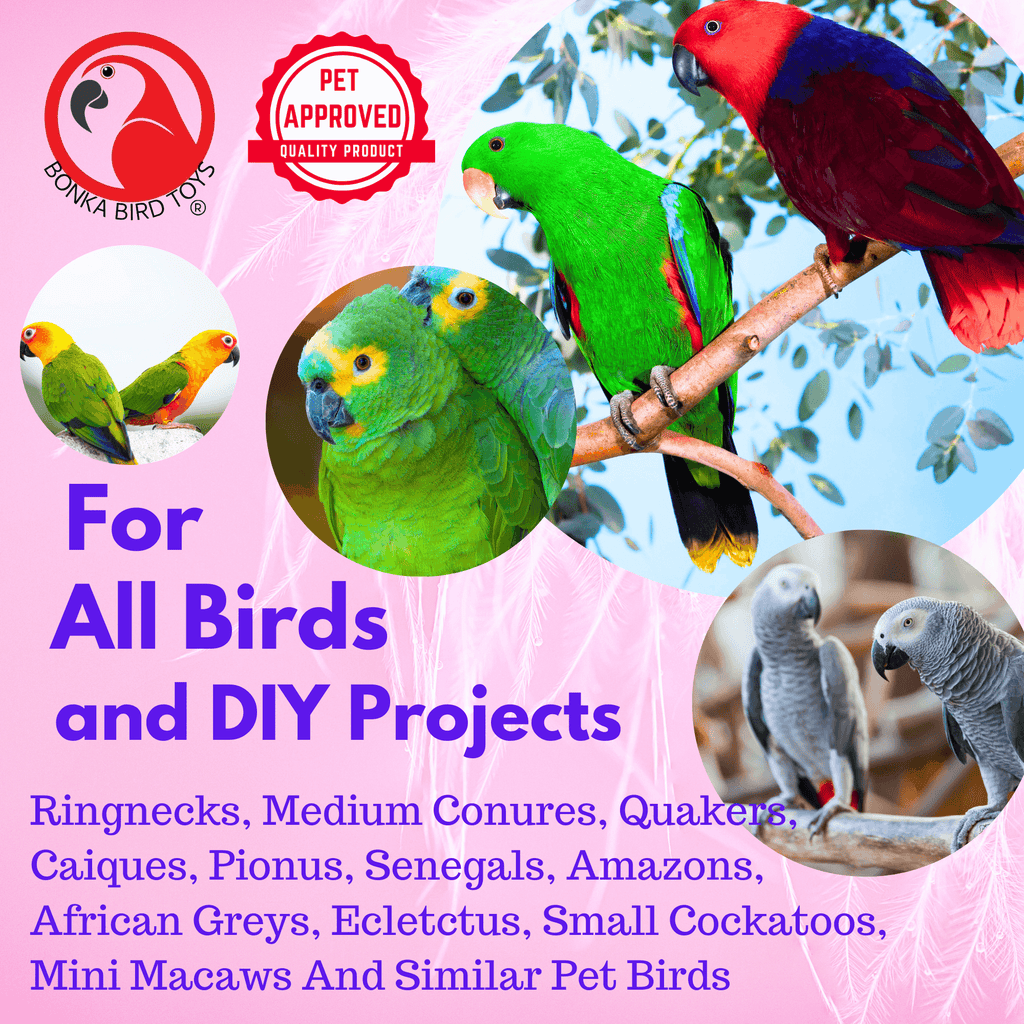 1222 24pk Foraging Card Crumbles