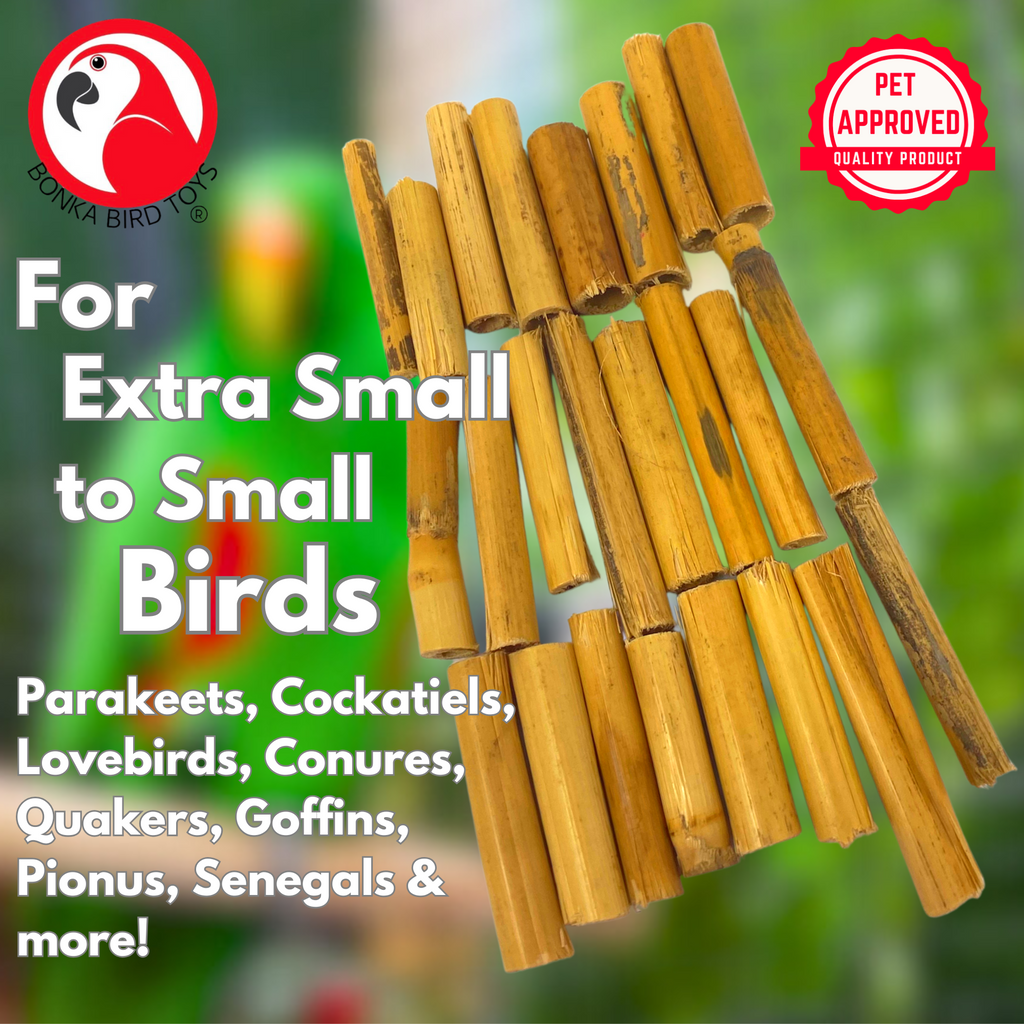 2941 Pk24 Bamboo Sticks