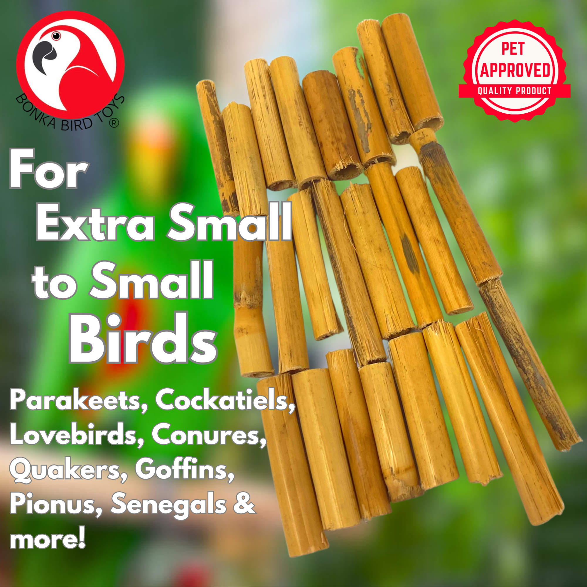 2941 Pk24 Bamboo Sticks
