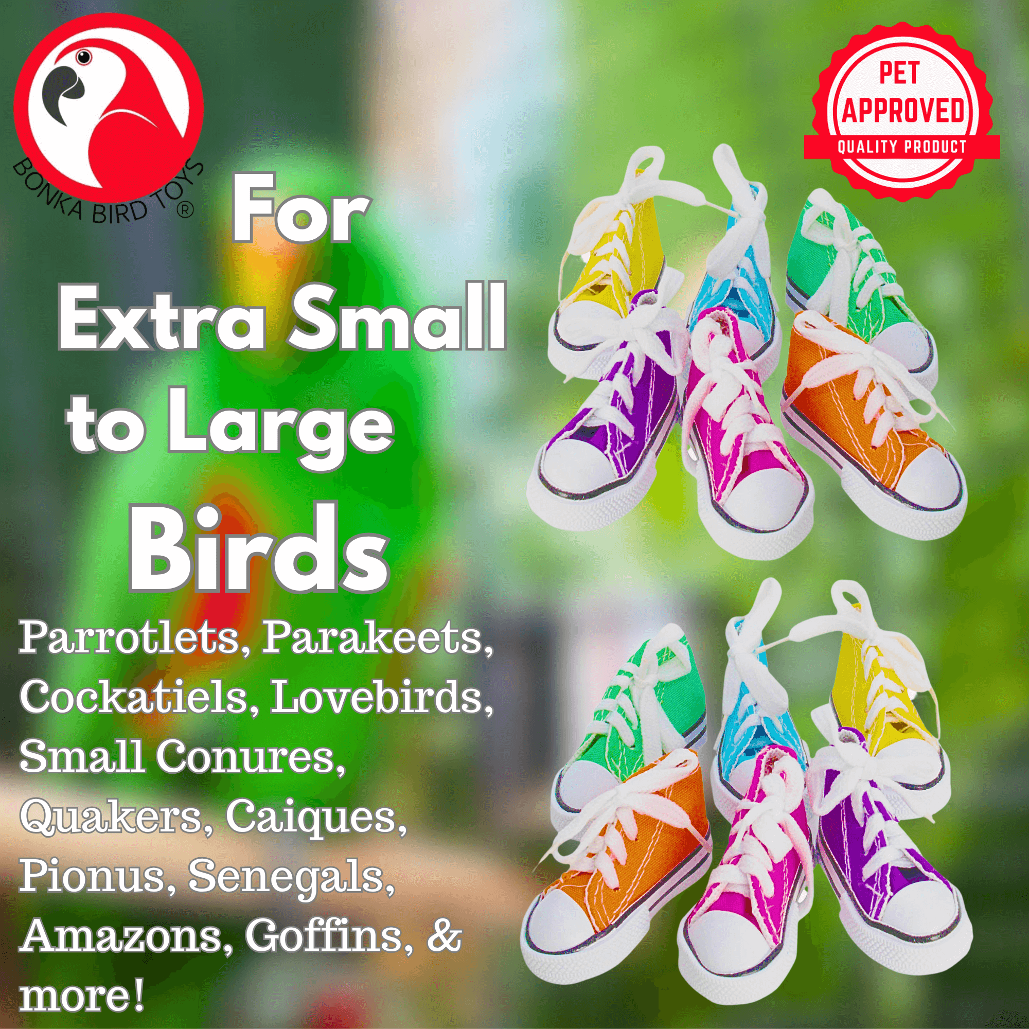 Mini Sneakers Pk12 - Pk24