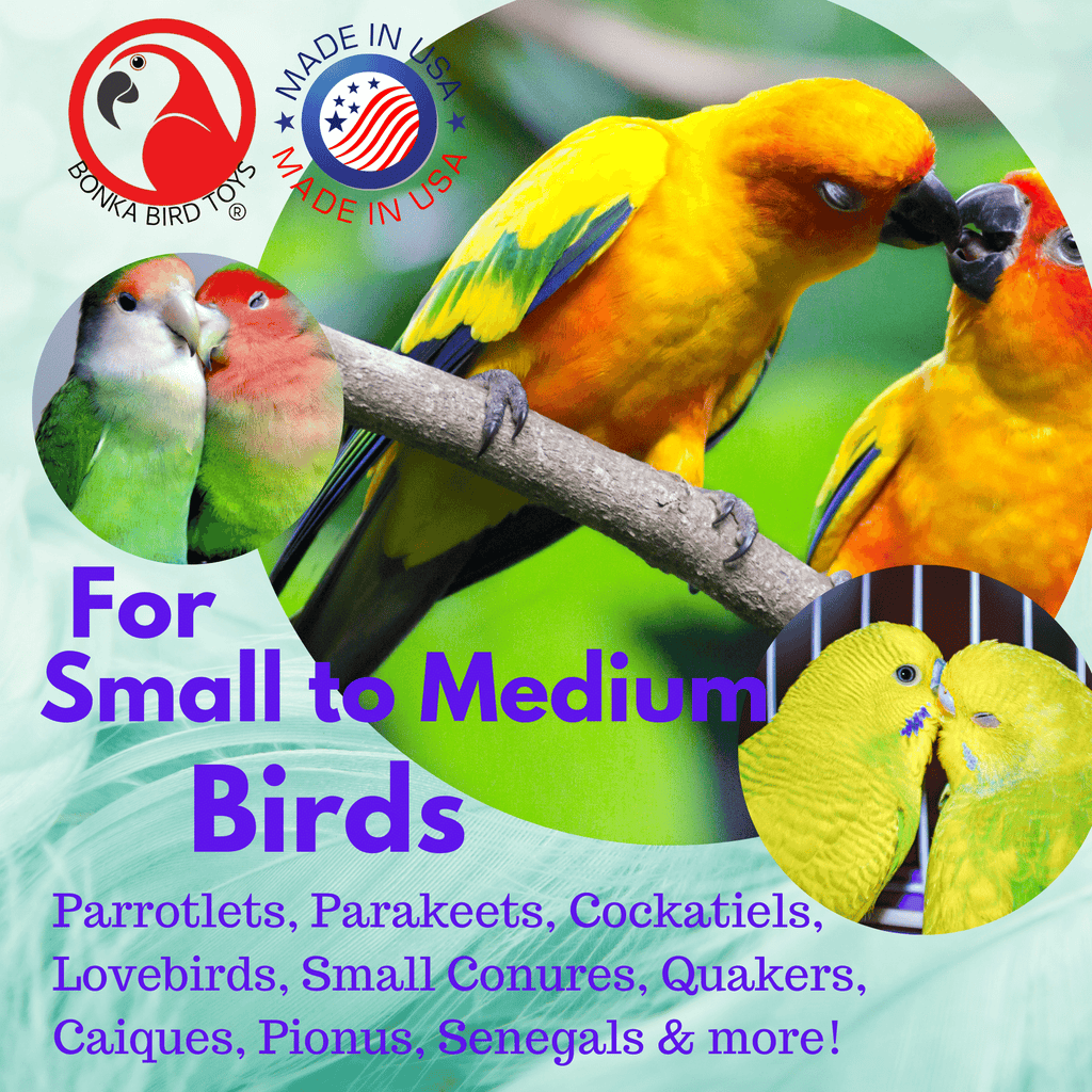 3717 Pk2 Spring Ball Foot Talon Toys