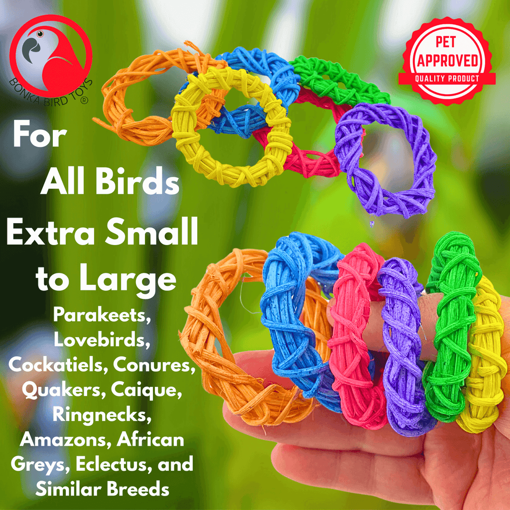 1450 Pk6 Color Craze 2" Vine Rings