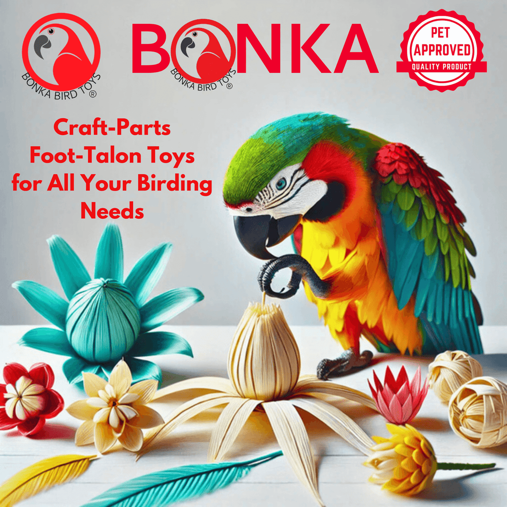 3284 Pk12 Natural Pinecones