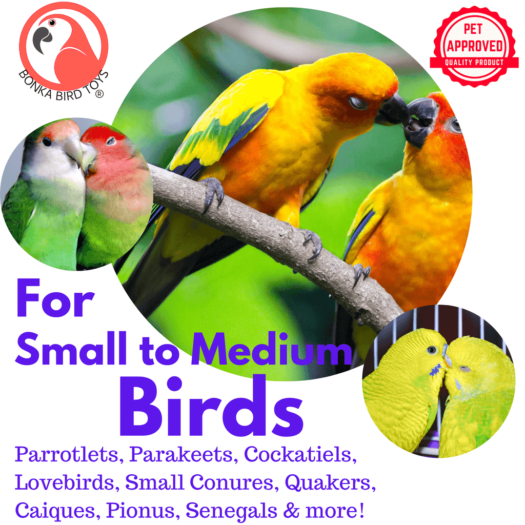 Natural and Colored Ice Cream Sticks