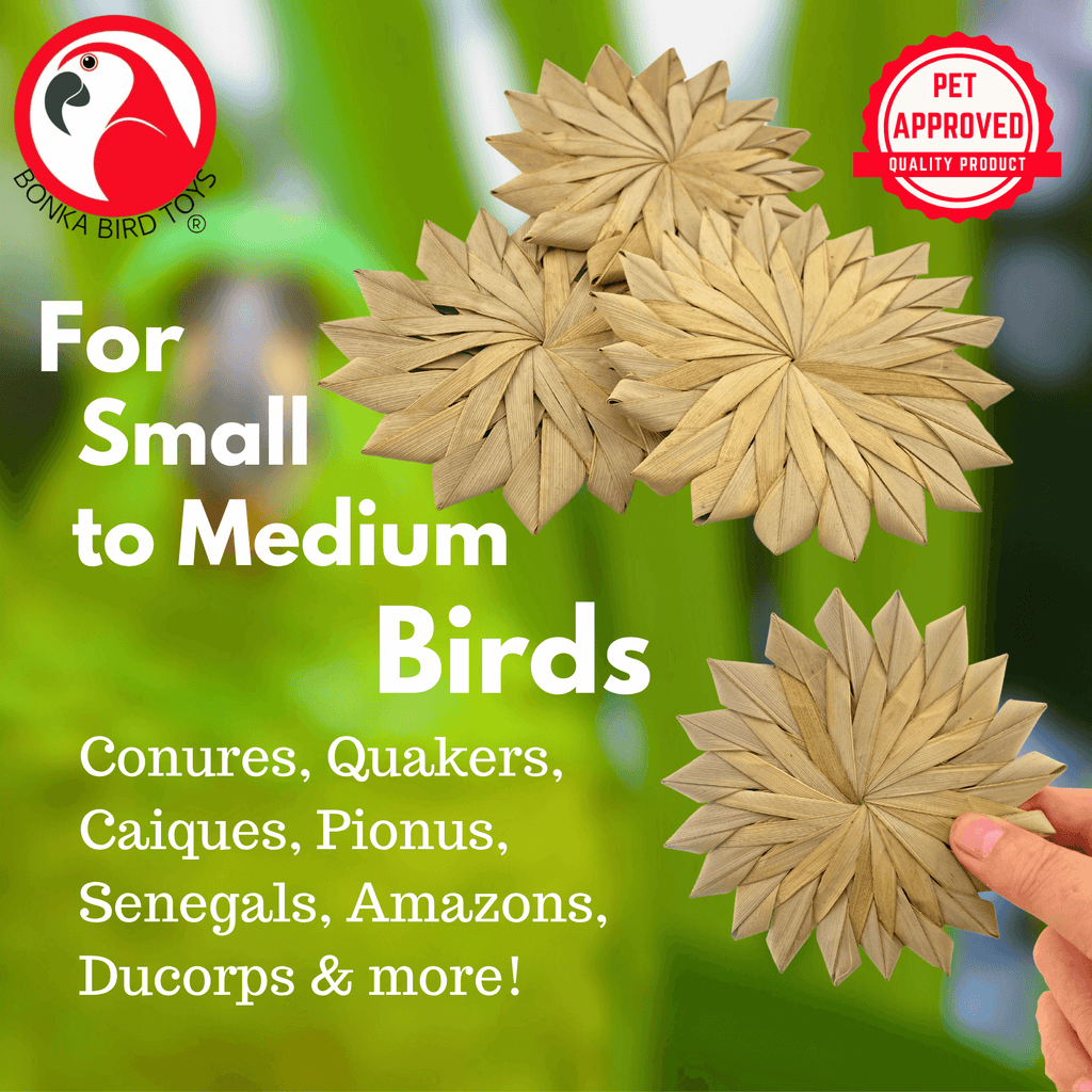 3347 Pk3 Large 4" Woven Palm Leaf Flowers