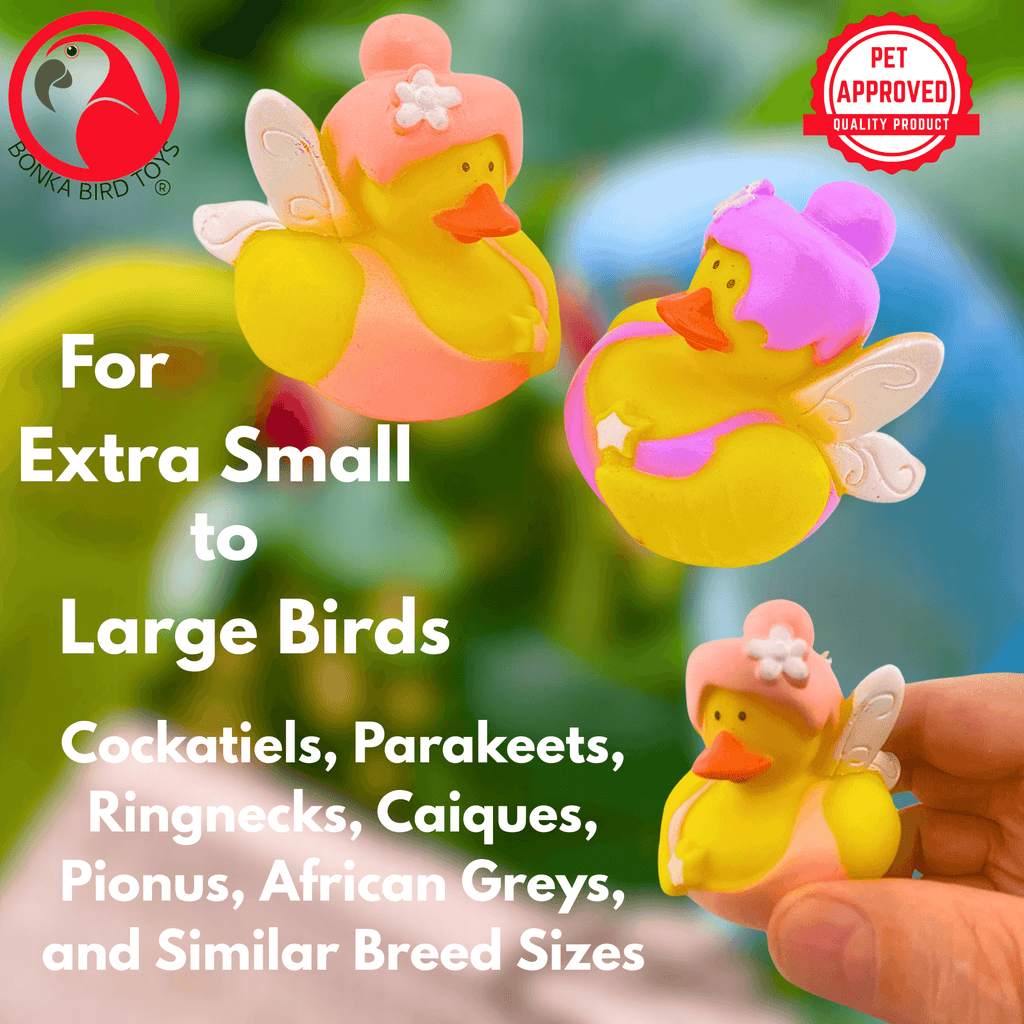 1441 Pk2 Fairy Duck