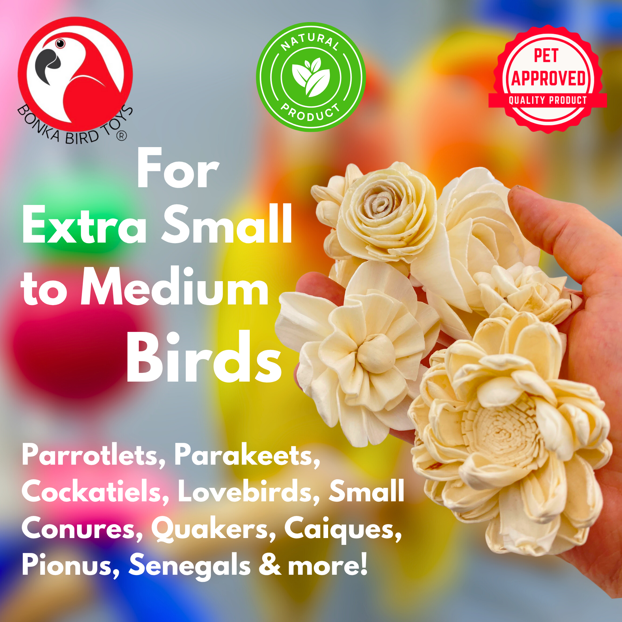 3604 Pk6 Assorted Sola Flowers