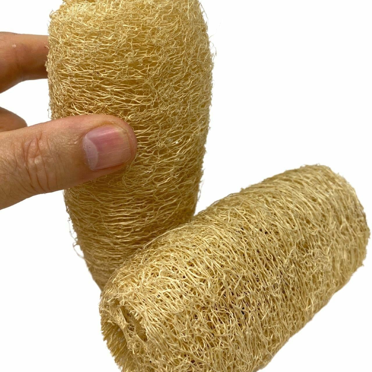 3614 Pk2 Luffa