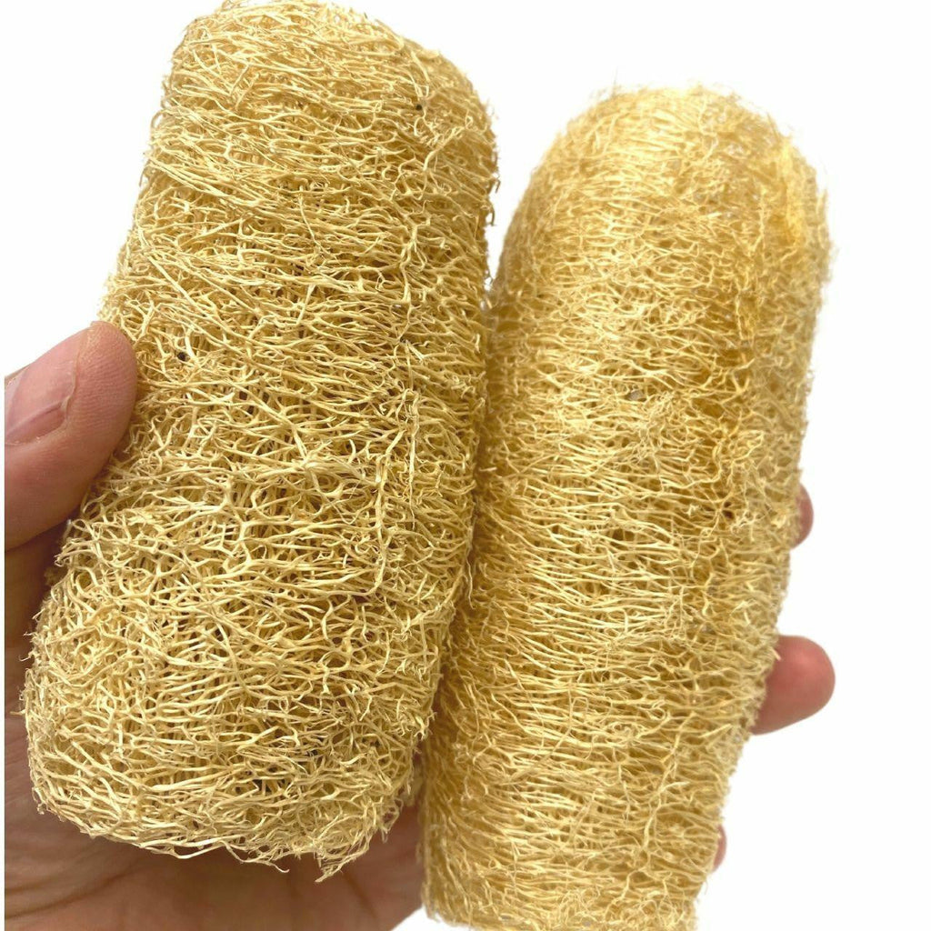 3614 Pk2 Luffa