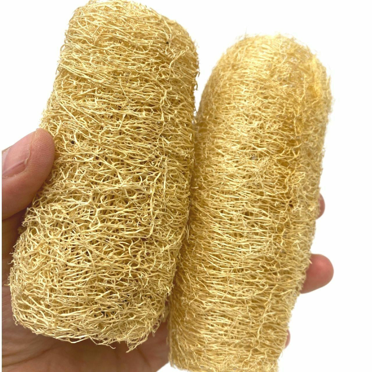 3614 Pk2 Luffa