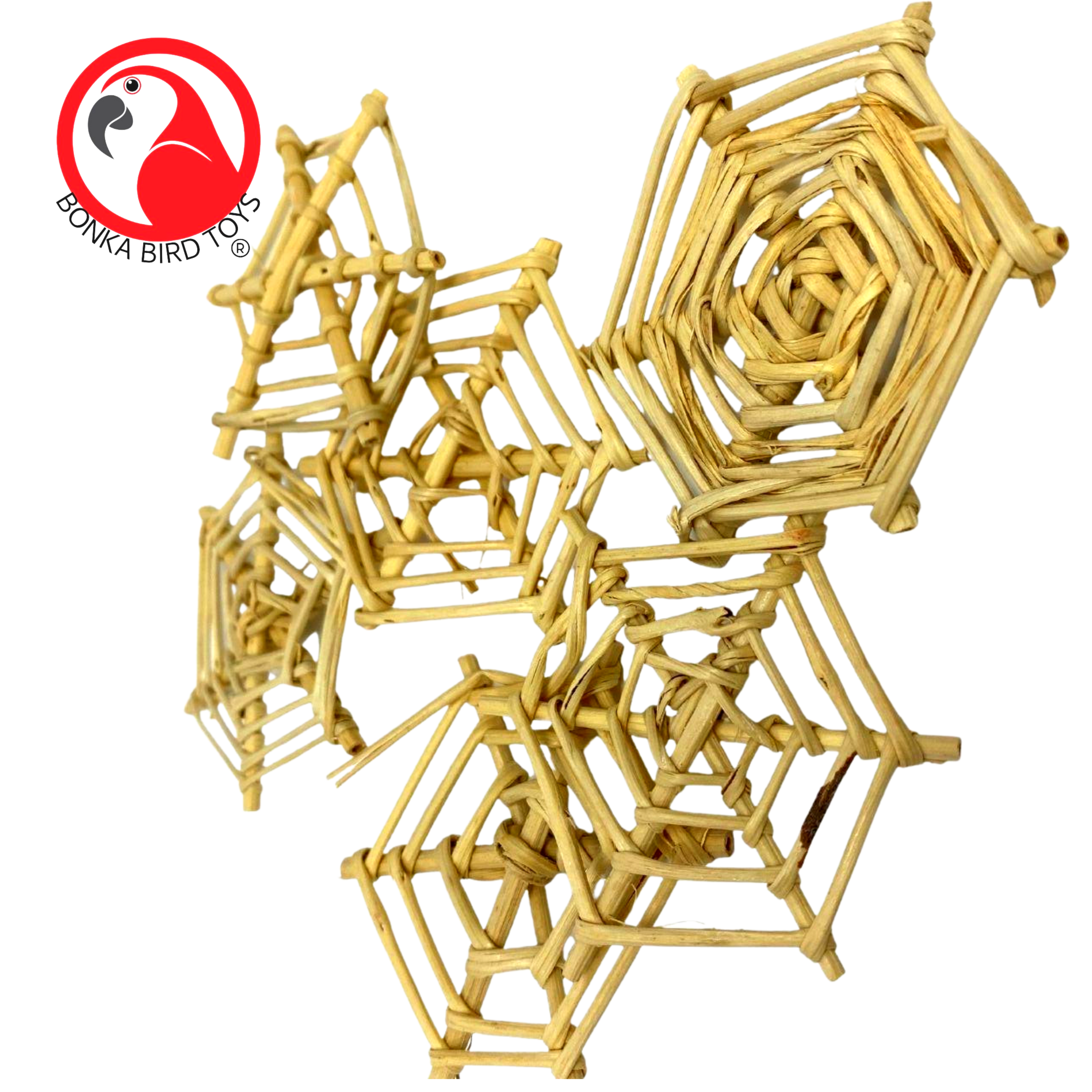 3743 Pk6 Small Vine Web